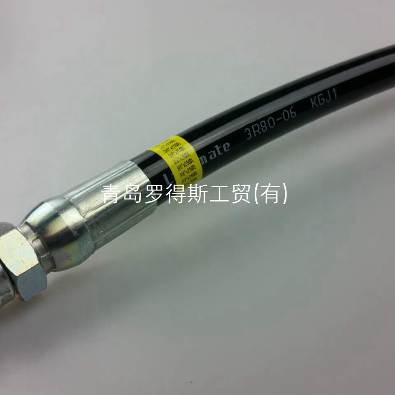 3R80-06 Hose Assembly