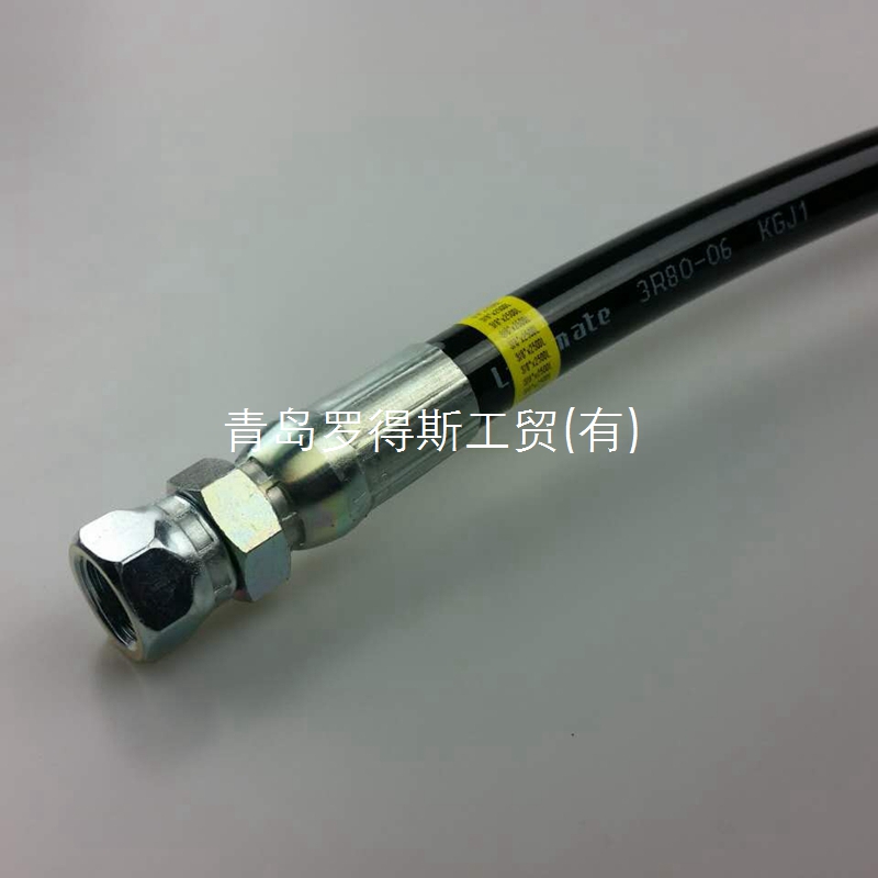 3R80-06 Hose Assembly