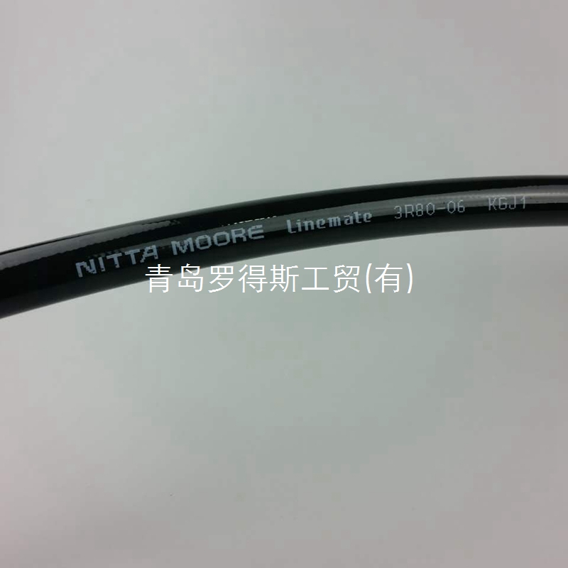 3R80-06 Hose Assembly