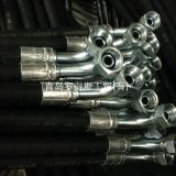 Bridgestone Hose Assembly1